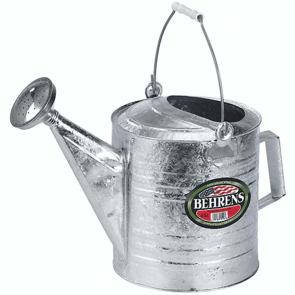 Galvanized Steel Watering Can 3 Gallon