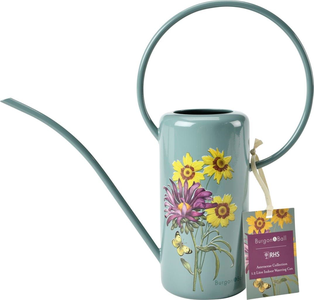 Burgon & Ball Indoor Plant Watering Globes