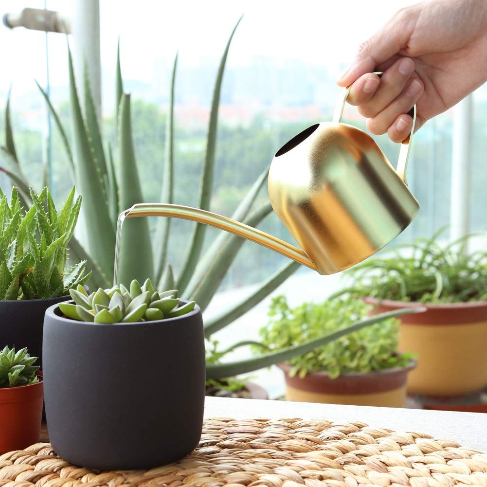 Stainless Steel Watering Can 1 Liter