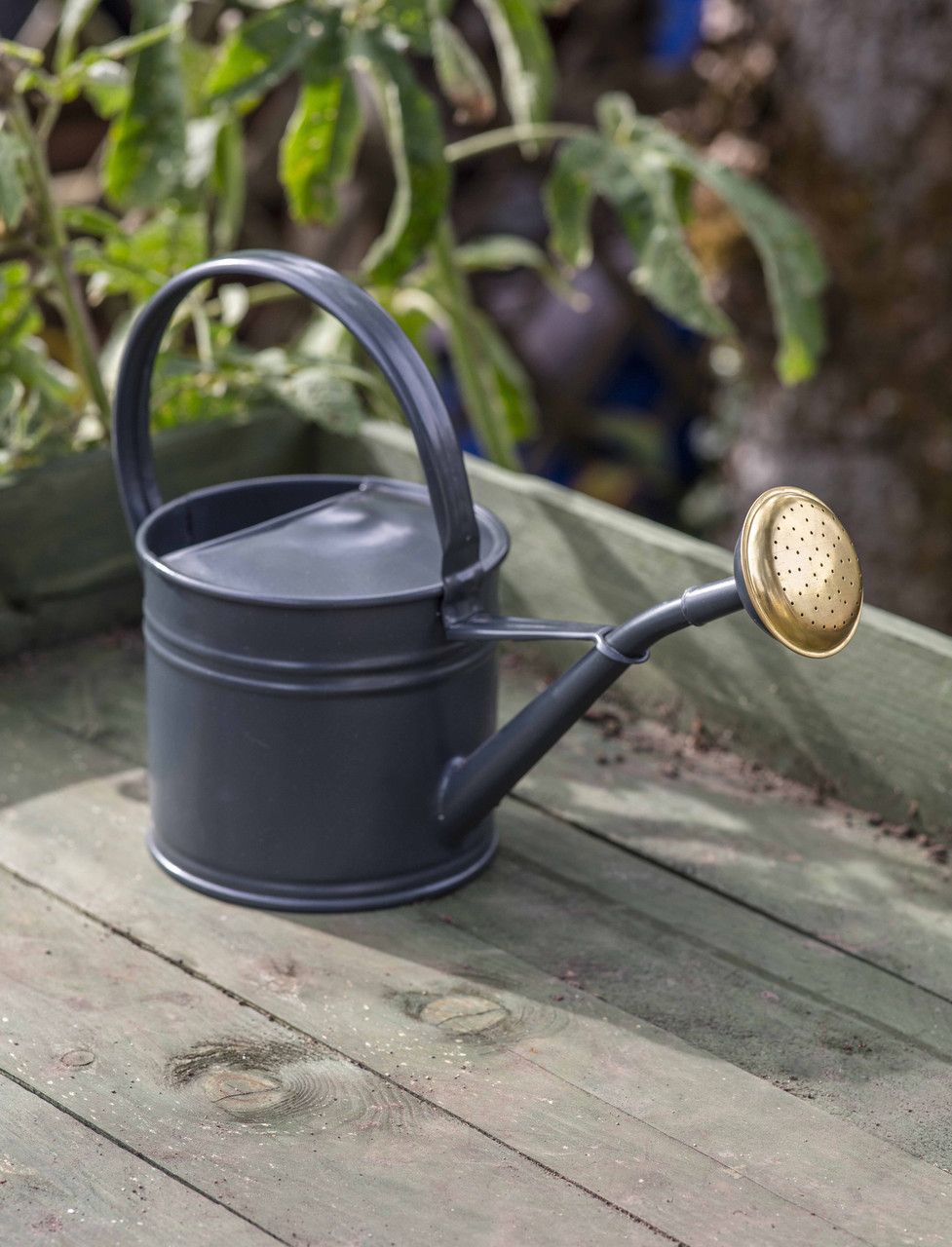 Farringdon Watering Can