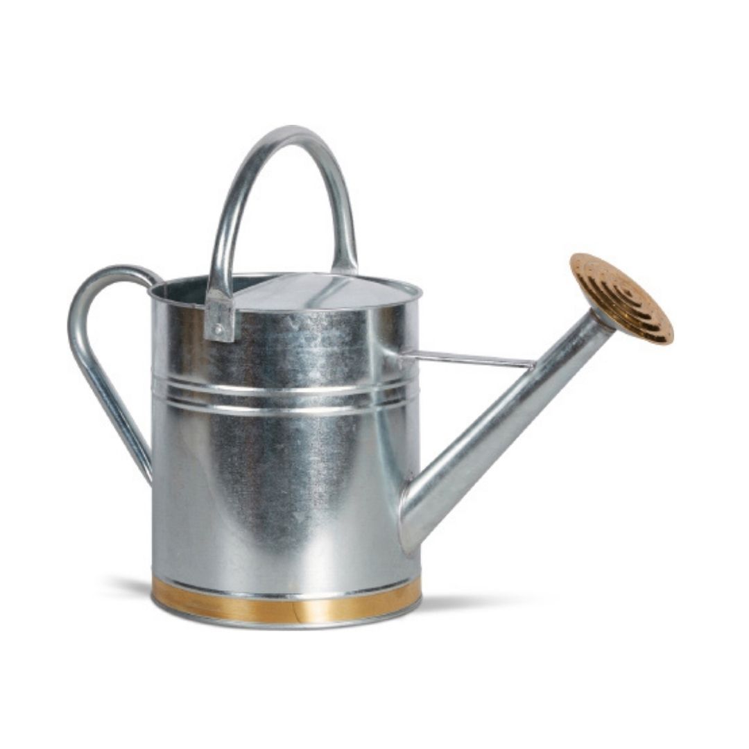 Galvanized Steel Watering Can 2 Gallon