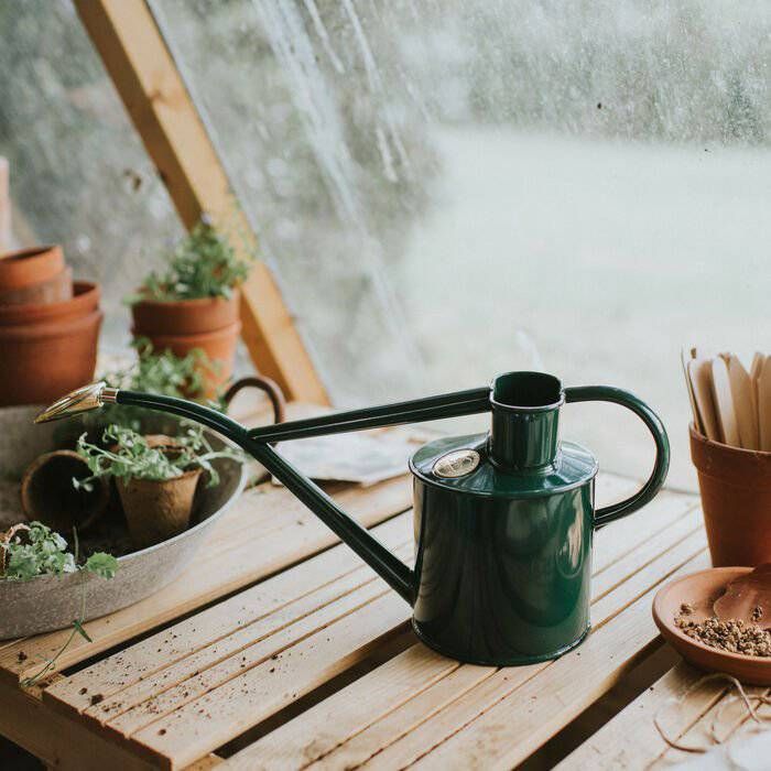 The Rowley Ripple 1 Liter Watering Can