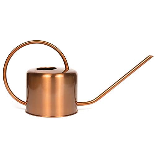 Stainless Steel Indoor Watering Can 1 Liter