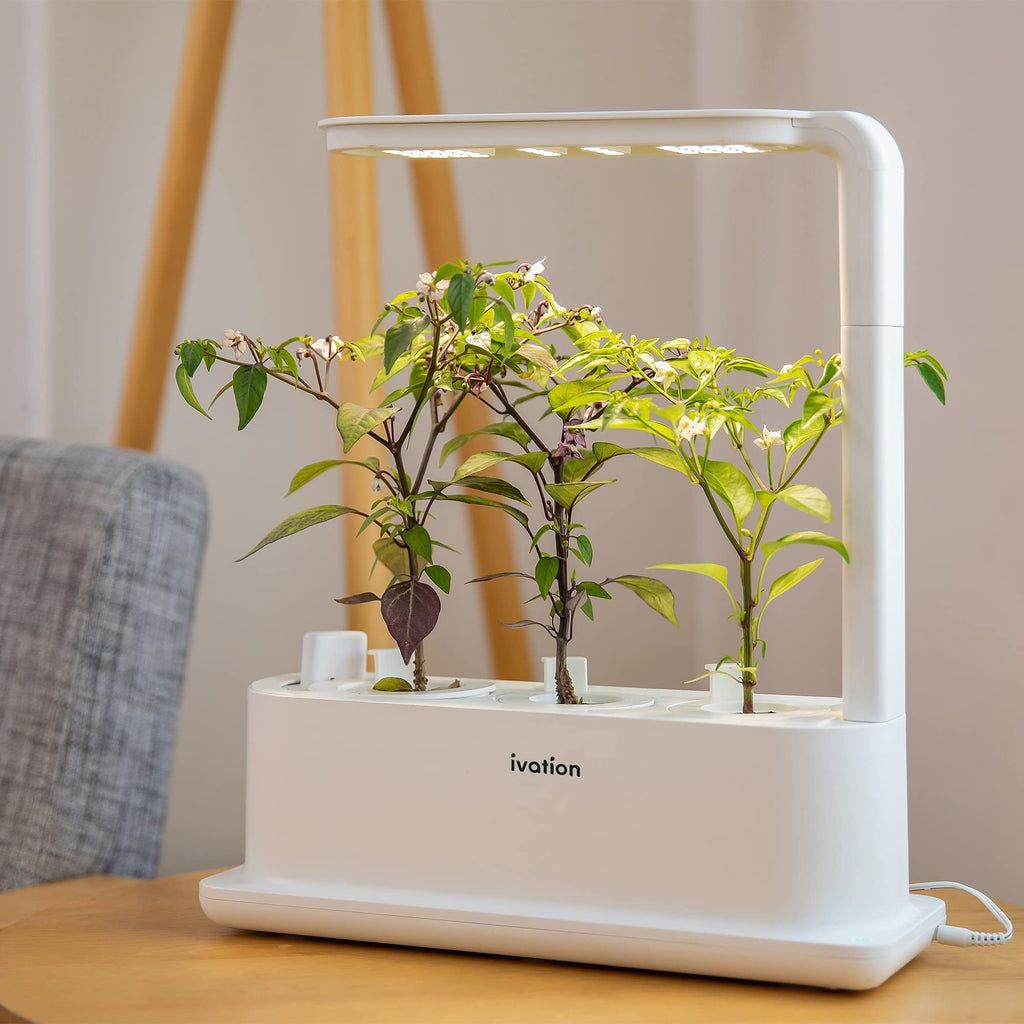 Ivation Automatic Plant Watering System