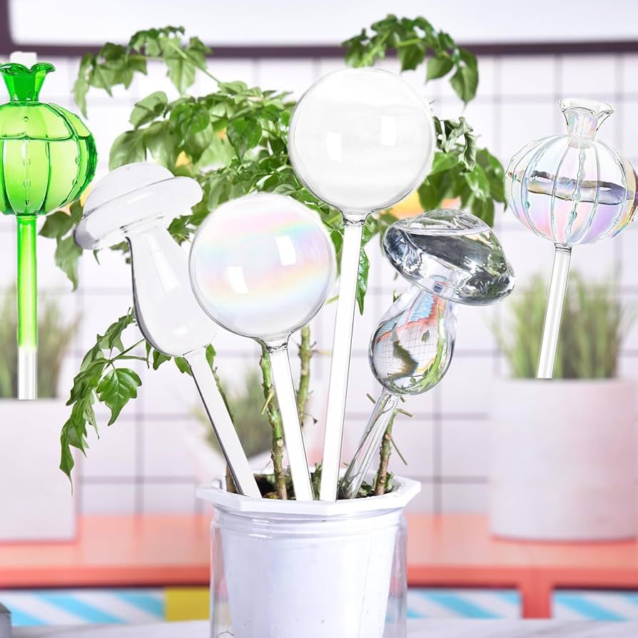 Kollea Clear Glass Plant Watering Globes