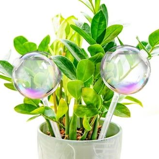 Luster Leaf Aqua Cones Self Watering Spikes