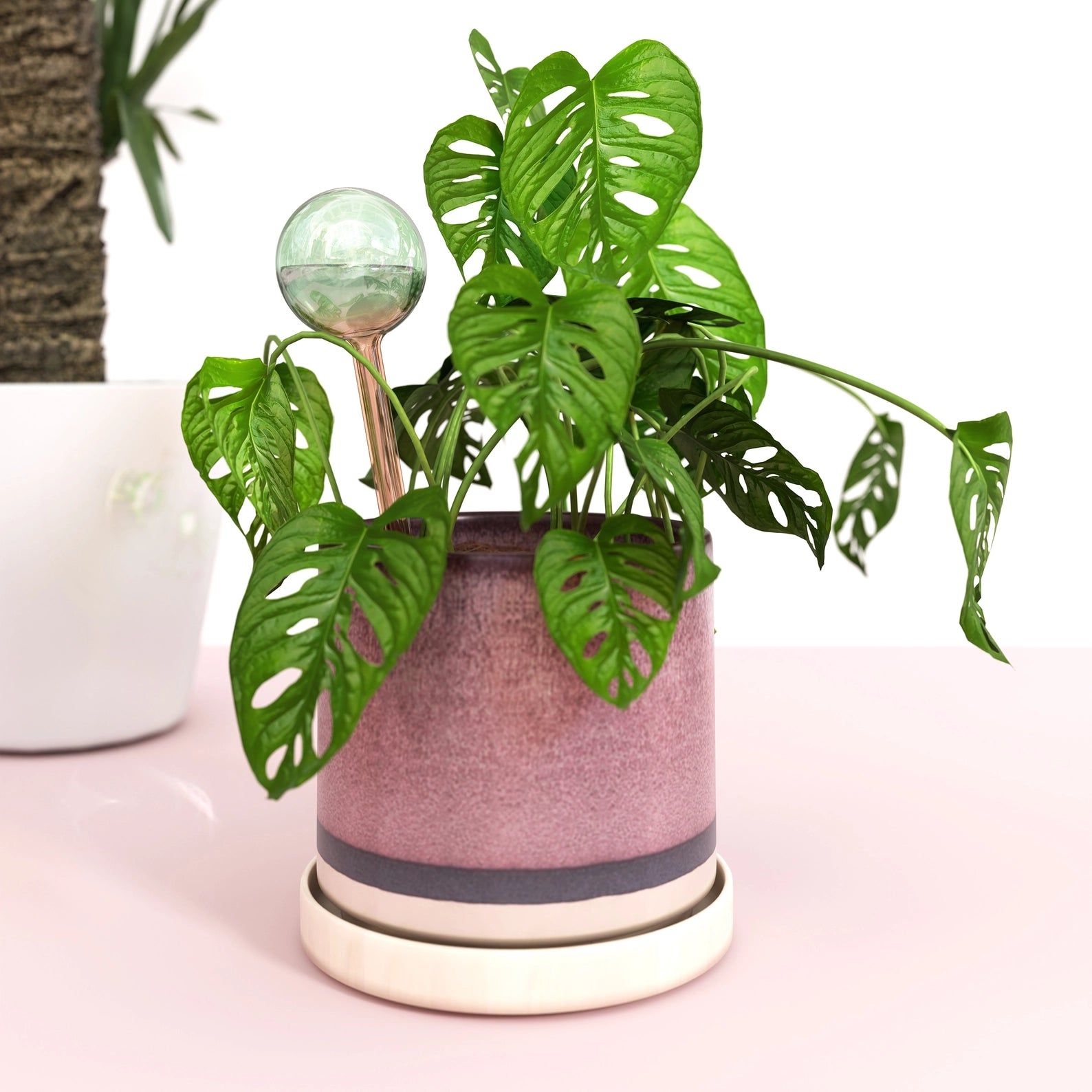Luster Leaf Plant Self Watering Globes