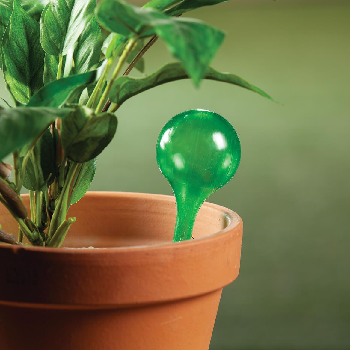 Miles Kimball Plant Watering Spikes