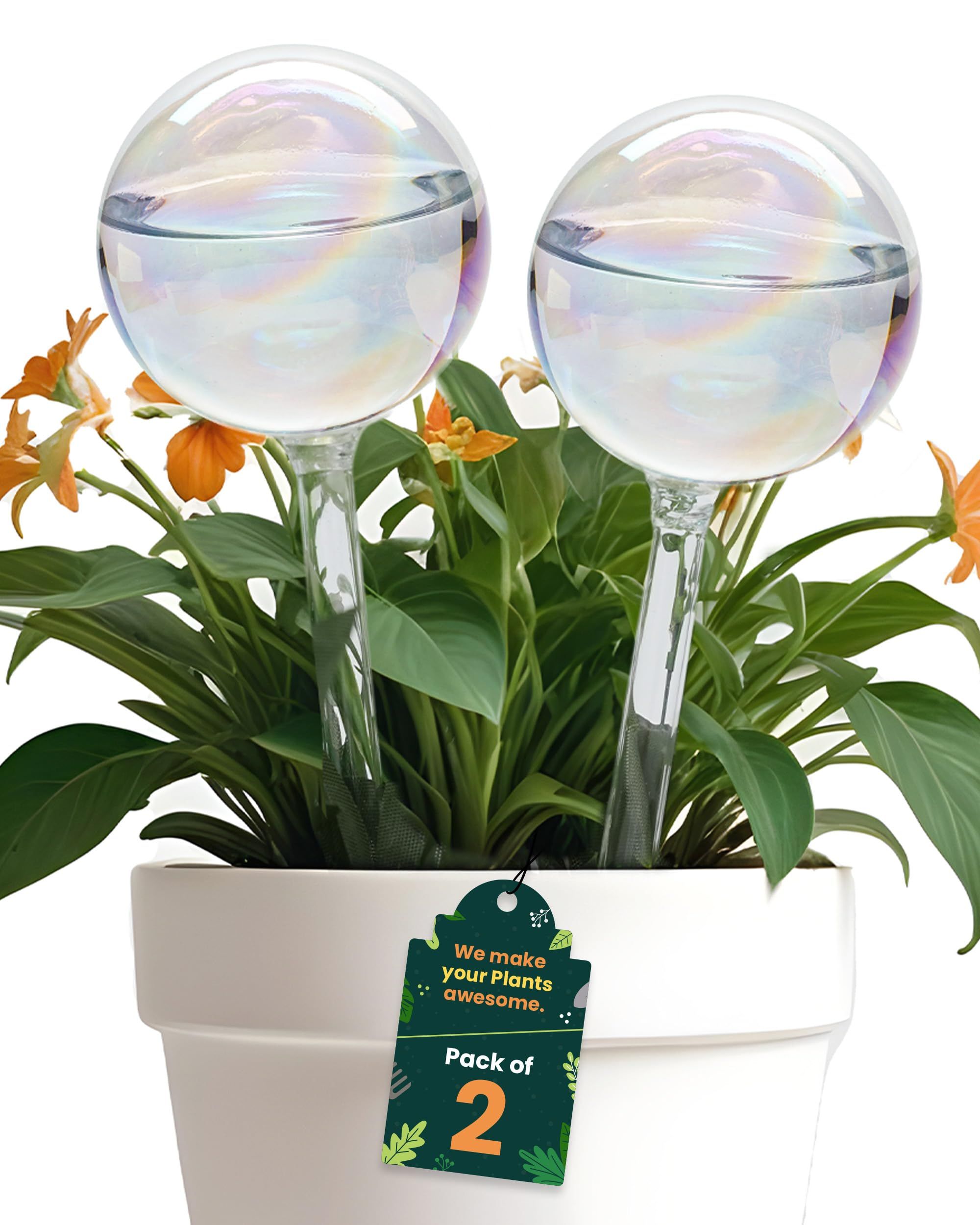 Moistenland Glass Watering Globes