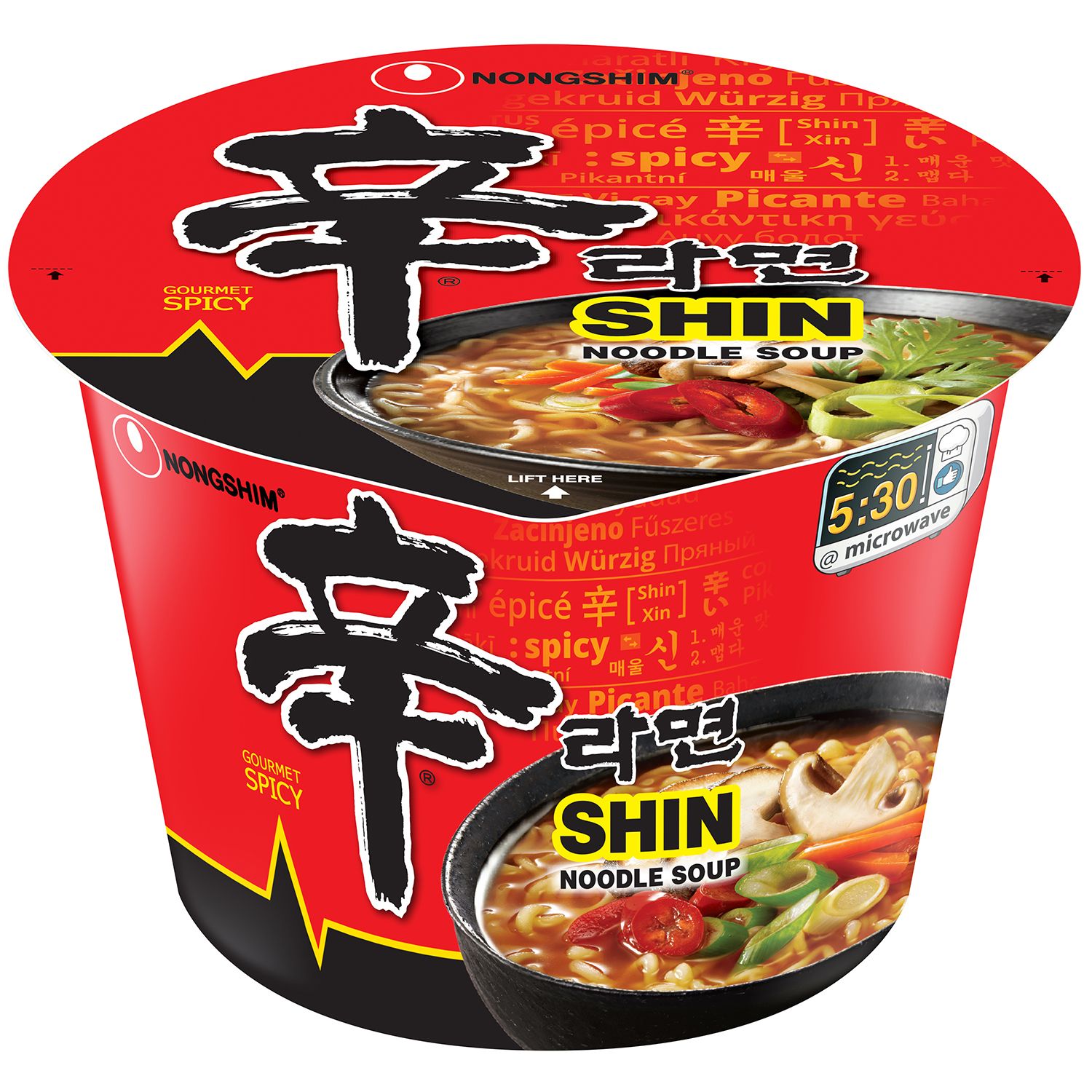 Tonkotsu Premium Noodle Soup