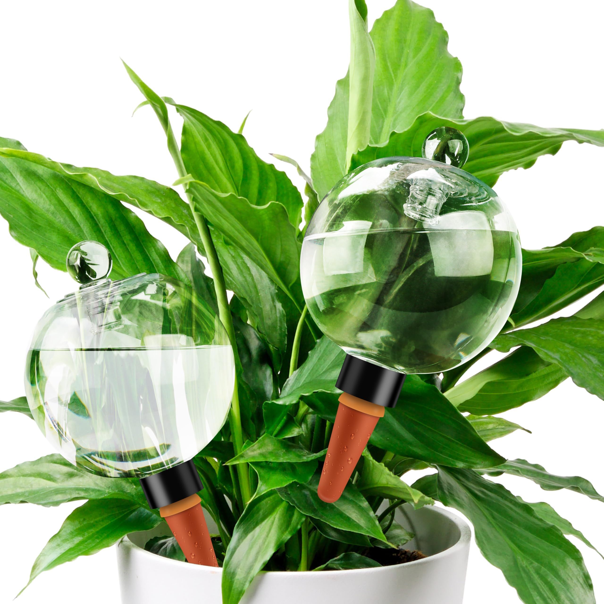 Amazon.com: Soilagua 19 oz Extra Large Plant Self Watering Globes Top Fill,  Plastic Water Bulbs, Slow Release Terracotta Self Watering Planter Insert,  Plant Watering Devices System, Water Spikes Stakes, 2 Pack :
