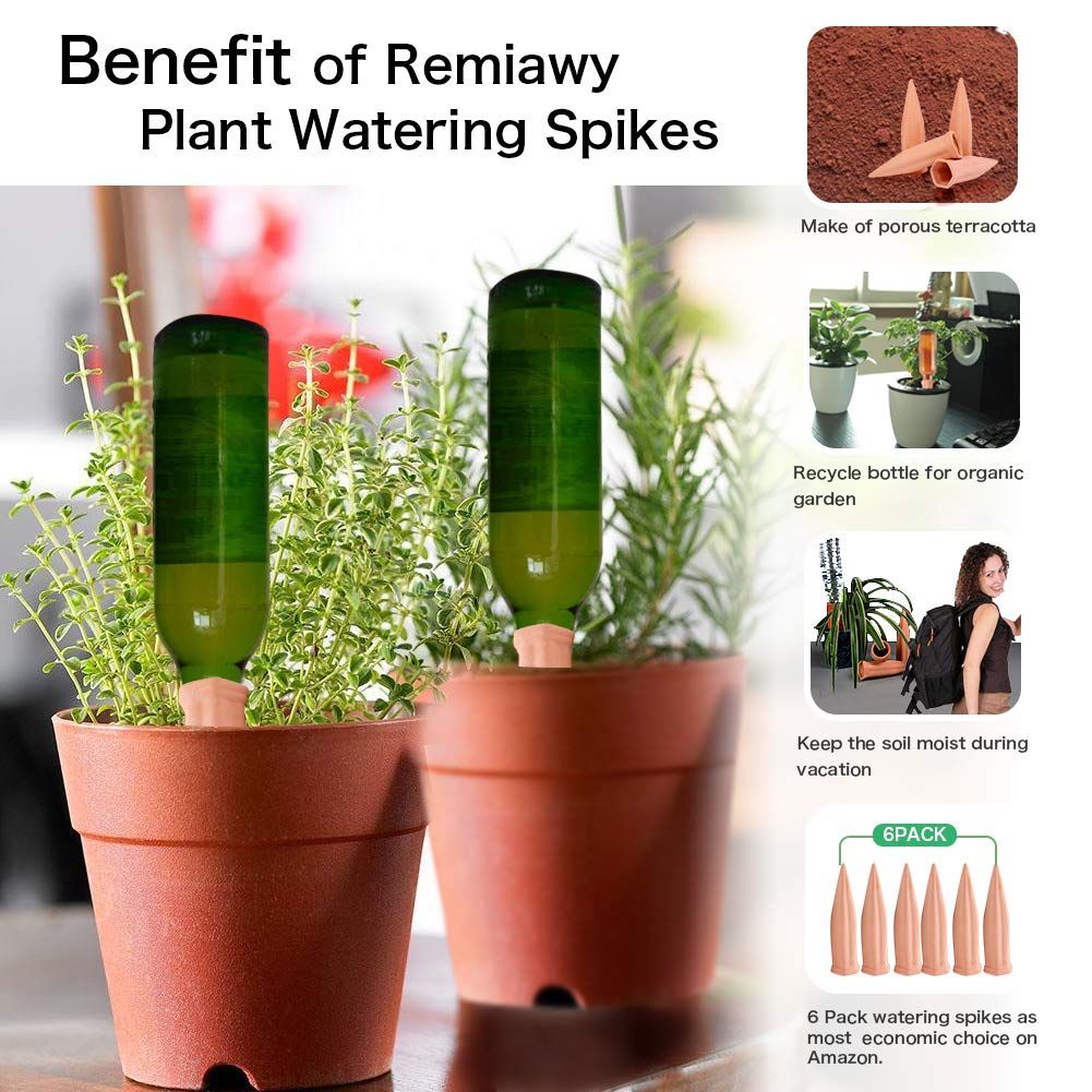 Remiawy Plant Watering Globes