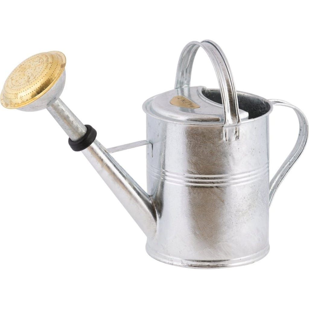 Zinc Watering Can 5 Liter