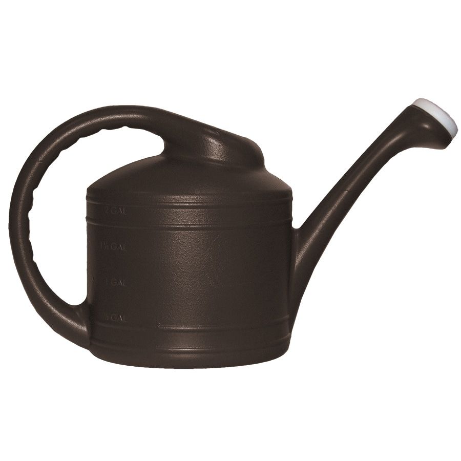 2 Gallon Resin Watering Can