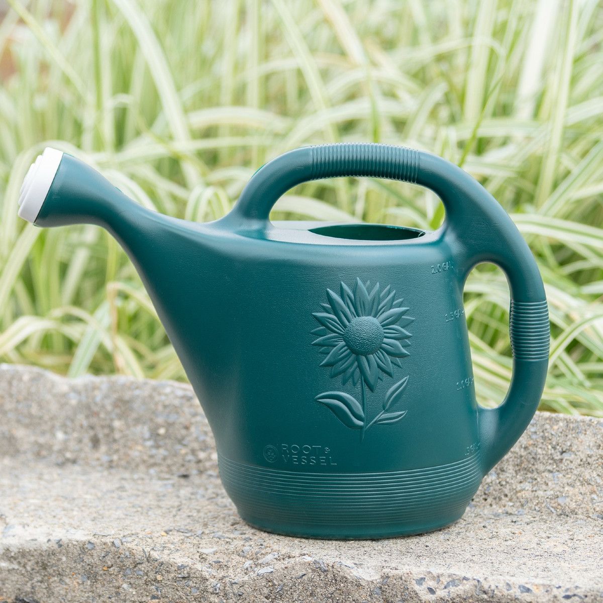2 Gallon Plastic Watering Can | Root & Vessel
