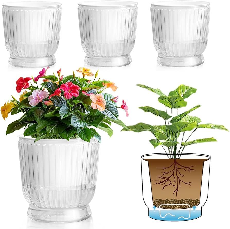 T4U Glass Plant Watering Globes