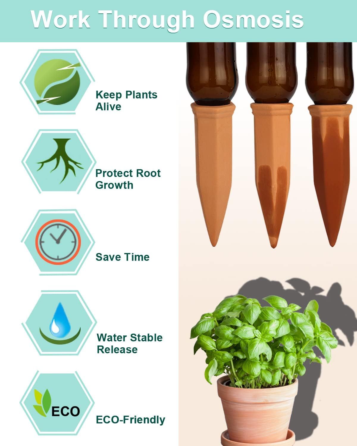 Vensovo Plant Watering Globes